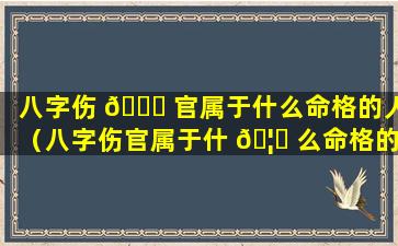八字伤 🐒 官属于什么命格的人（八字伤官属于什 🦅 么命格的人呢）
